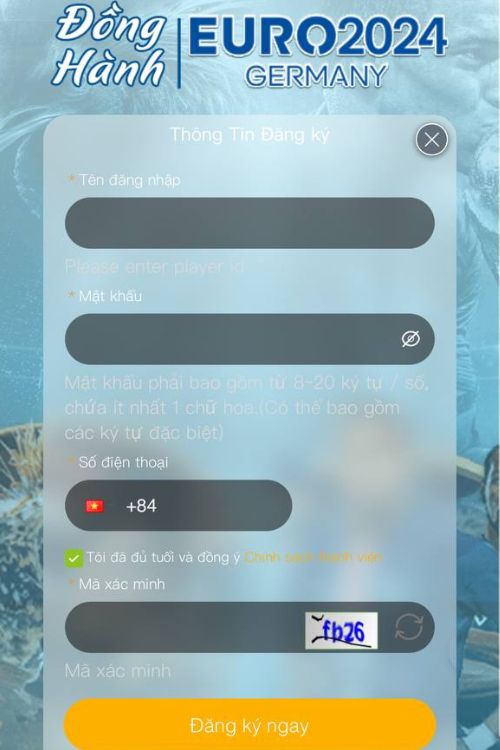 Điền chính xác thông tin đăng ký VIBET88