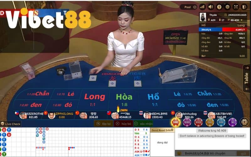 Cách đặt cược Rồng Hổ online tại VIBET88