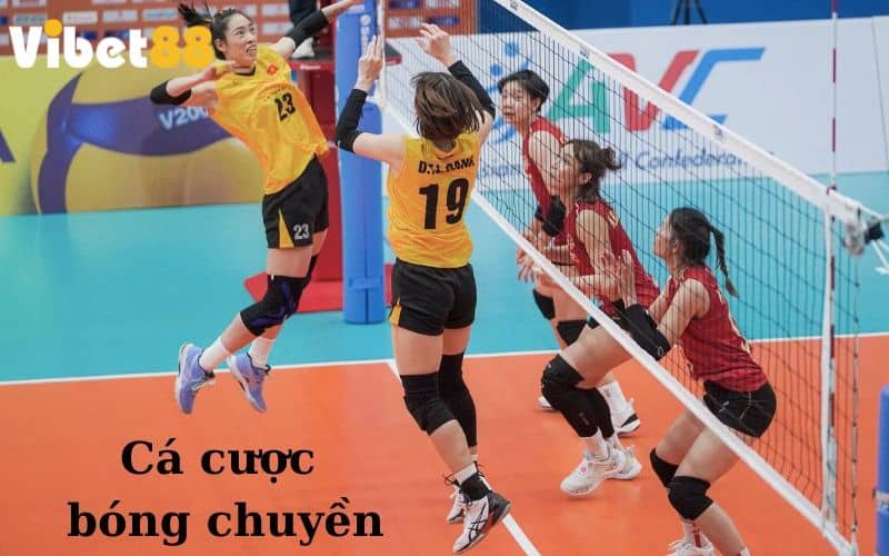 Tìm hiểu chi tiết về Cá cược bóng chuyền tại VIBET88